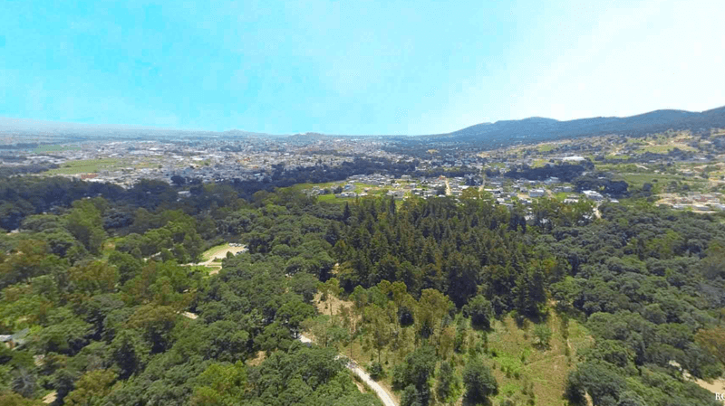 Vista Area Bosque Eterno