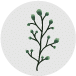 Beneficios Bosque Eterno
