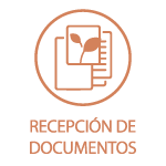 BosqueEterno_Centro_Imagen_20