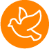 BosqueEterno_Servicios_Imagen_06