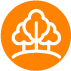BosqueEterno_Servicios_Imagen_10